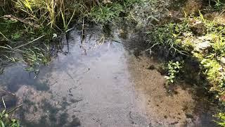 Natural spring water bubbling up from the ground