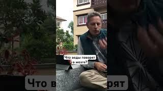 Что Веды говорят о мозге? #ВасилийТушкин #ВраджендраКумар #VrajendraRu #shorts #веды #знание #Бог