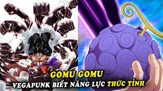 Vegapunk nghiên cứu sức mạnh thức tỉnh trái cao su Gomu Gomu - ( One Piece 1017+ )