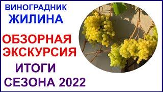 Обзор виноградника Вадима Жилина. Лучшие сорта и ГФ по итогам 2022 года