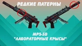 Редкие патерны MP5-SD лабораторные крысы