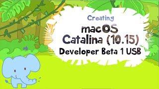 Create macOS Catalina 10 15 Developer Beta 1 USB