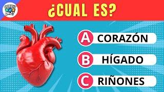 ¿Cuánto Sabes del CUERPO HUMANO? 🫁️ | 35 Preguntas | Cheesi Quiz