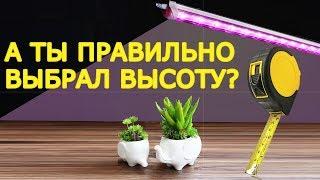 Как выбрать высоту подвеса для фитолампы ? Какие линзы и в каких случаях нужно использовать ?