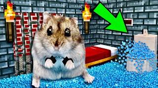 MINECRAFT Hamster Maze with Traps [OBSTACLE COURSE]