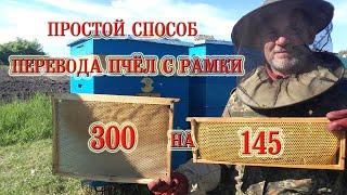 Простой способ перевода пчёл с рамки 300 на рамку 145.