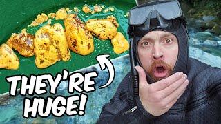 Diver Finds Where The BIG GOLD Nuggets Are!