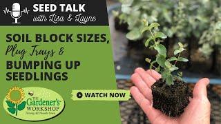 Seed Talk #22 - Soil Block Sizes, Plug Trays & Bumping Up Seedlings