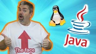 Java Development Kit: How To Install And Setup the JDK For A Linux Machine