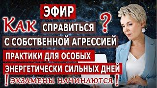 Экзамены Свыше начинаются! Как справиться с агрессией? Эфир с Полиной Суховой