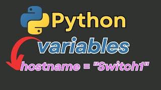 Python Basics: Variables Explained with Networking CRUD Examples