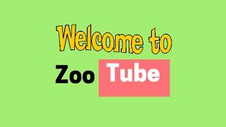 Welcome to ZooTube