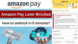 amazon pay later blocked  how to unblock new update 2024 | Amazon pay later ko unblock Kaise kare