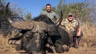 Mike's Cape Buffalo Quest: A Thrilling Hunt in South Africa's North West Province