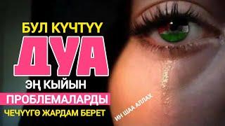 БУЛ КҮЧТҮҮ ДУБА ЭҢ КЫЙЫН ПРОБЛЕМАЛАРДЫ ЧЕЧҮҮГӨ ЖАРДАМ БЕРЕТ!