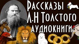 Л. Толстой Рассказы  Школьная программа    Аудиокниги