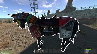 INVINCIBLE HORSE GLITCH rust console edition