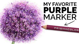 The #1 Colored Pencil Every Purple Marker Fan Needs