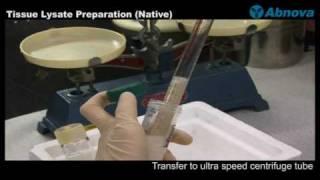 Tissue Lysate Preparation (Native)