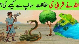 Sharabi aur Ek Saanp || Allah ne Sharabi ki kaise Hifazat Ki || Drunk man and Snake || Quranic Story