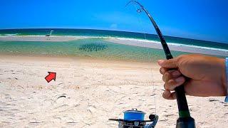 This Surf Fishing HOT SPOT was STACKED with Fish! (Unexpected Catch)