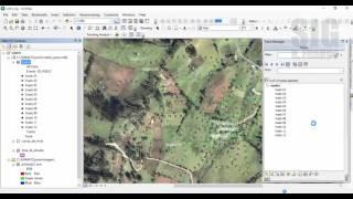 ArcGIS - Tracking Analyst - Tutorial 06: Track manager para tracks