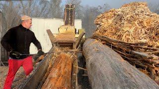 Live Stream: From Logs to Wood Chips