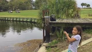 Hilton Head Island Black Drum Kicking Little Girls Butt