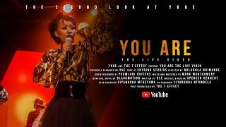 HLE - You Are (Official Live Video)