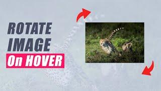 How to Rotate Image on Hover using CSS Tutorial
