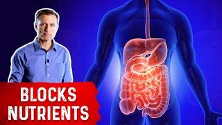 Inflamed Digestive System Blocks Nutrient Absorption