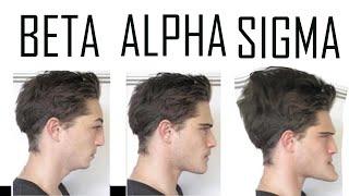 Are You A Beta, An Alpha or A Sigma Male?