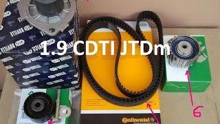 How to replace timing belt 1.9 cdti / JTDm   cambelt   z19dth z19dt Astra Vectra Zafira Lancia Alfa