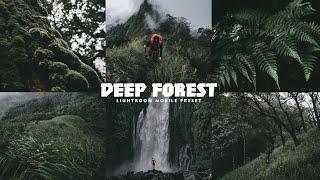 Deep Forest - Lightroom Mobile Preset | Deep Preset | Forest Preset | Moody Preset