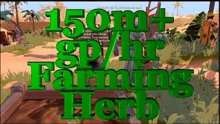 150m+ GP/HR Fast farming herbs with Patch Bombs in Runescape (NOT Click Bait)