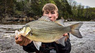 They were LOADED at this Flooding Spillway! White bass Fishing Minnesota