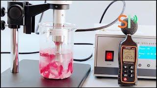 Craving Efficiency? Discover the Ultrasonic Extraction Method!