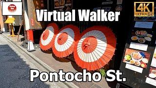 "Walking on Pontocho Street"  先斗町の散策  Virtual Walker