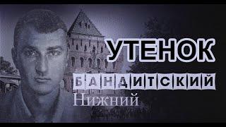 Вор в законе  Утенок