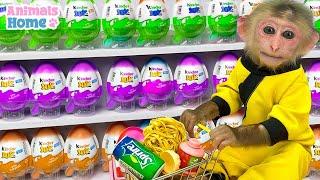 Baby monkey BiBi doing shopping in Candy store and eat it with her friends