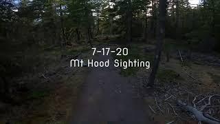 Bigfoot Sighting in Oregon July 17th 2020 by Mt Hood