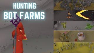 Hunting Bot Farms in the Wildy For Big Profit on OSRS