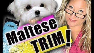 HOW to TRIM a MALTESE at HOME! (Trimming your DOG at home) BASIC DOG GROOMING Tutorial