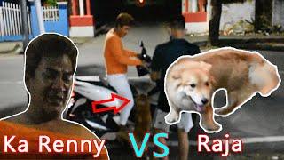 Manusia & Dog (Ka Renny VS Raja)