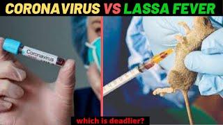 CORONAVIRUS VS LASSA FEVER (which is deadlier)? #coronavirusinnigeria