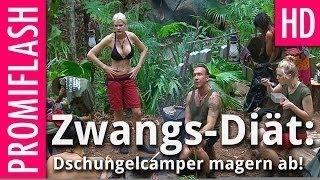 Zwangs-Diät im Dschungel: So extrem magern die Camper ab!