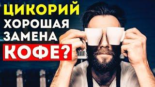 Цикорий может заменить Кофе? Как правильно пить Цикорий. Польза и вред Цикория