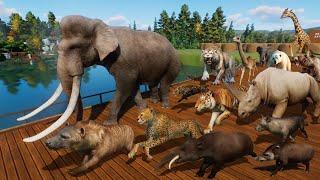 Ancient Animals VS Modern Animals Race in Planet Zoo included Mammoth, Smilodon, Cheetah, & Tiger