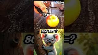 KOALA LOOKS AT HOW SHARP THE KNIFE IS (via@eis_coldest_moments/TikTok)