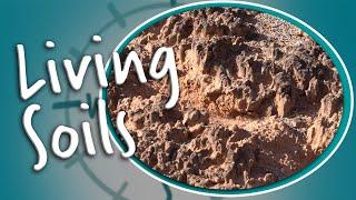 Learning about Living Soils with Dr. Lydia Jennings - Arches National Park | OutSCIder Classroom